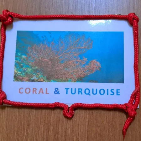 Coral & Turquoise